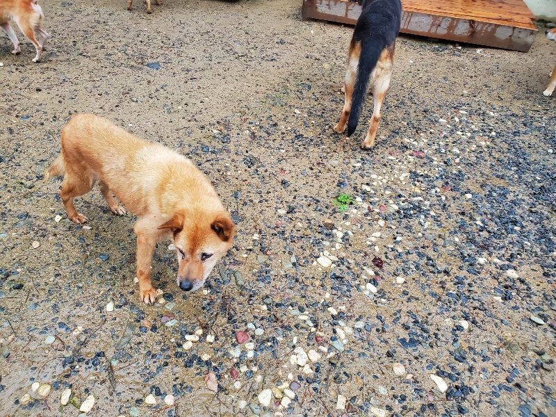 f:id:roukenhome-ann:20191019212548j:plain