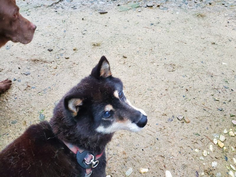 f:id:roukenhome-ann:20191019212630j:plain