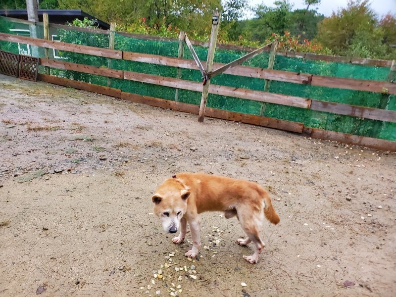f:id:roukenhome-ann:20191019212710j:plain