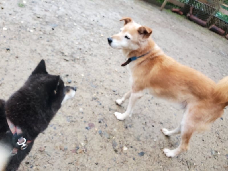 f:id:roukenhome-ann:20191019212729j:plain