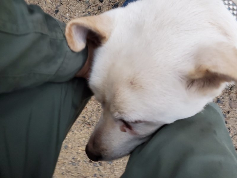f:id:roukenhome-ann:20191019212804j:plain