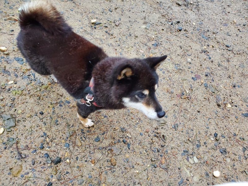 f:id:roukenhome-ann:20191019212840j:plain