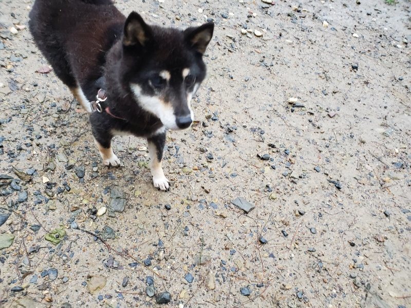 f:id:roukenhome-ann:20191019212930j:plain
