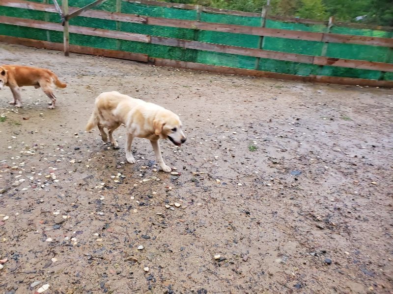 f:id:roukenhome-ann:20191019213013j:plain