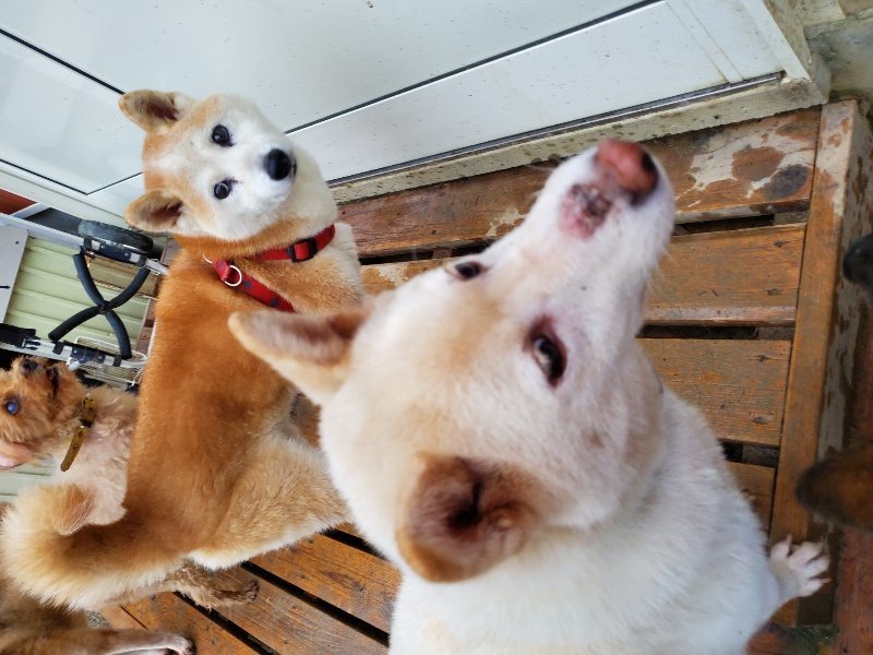 f:id:roukenhome-ann:20191019220016j:plain