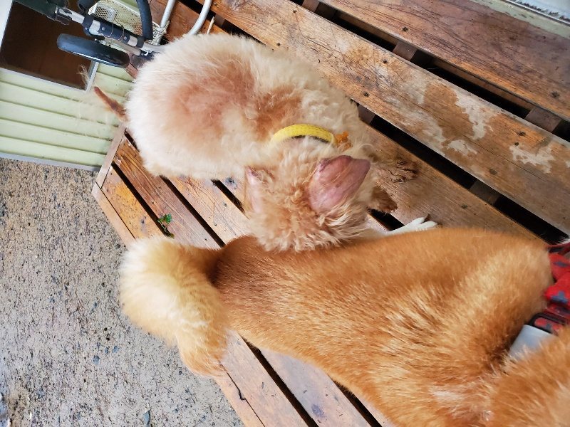 f:id:roukenhome-ann:20191019220047j:plain