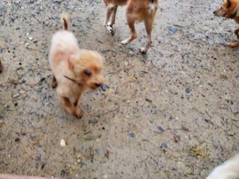 f:id:roukenhome-ann:20191019220239j:plain