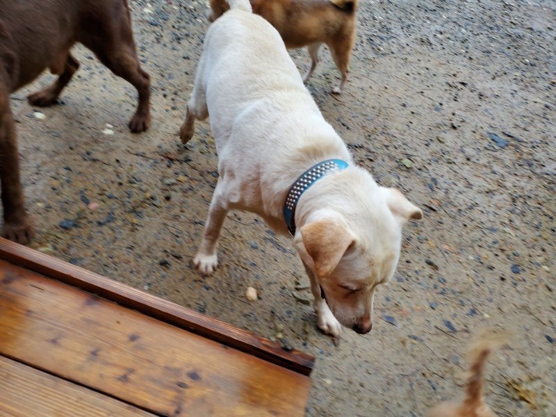 f:id:roukenhome-ann:20191019220303j:plain