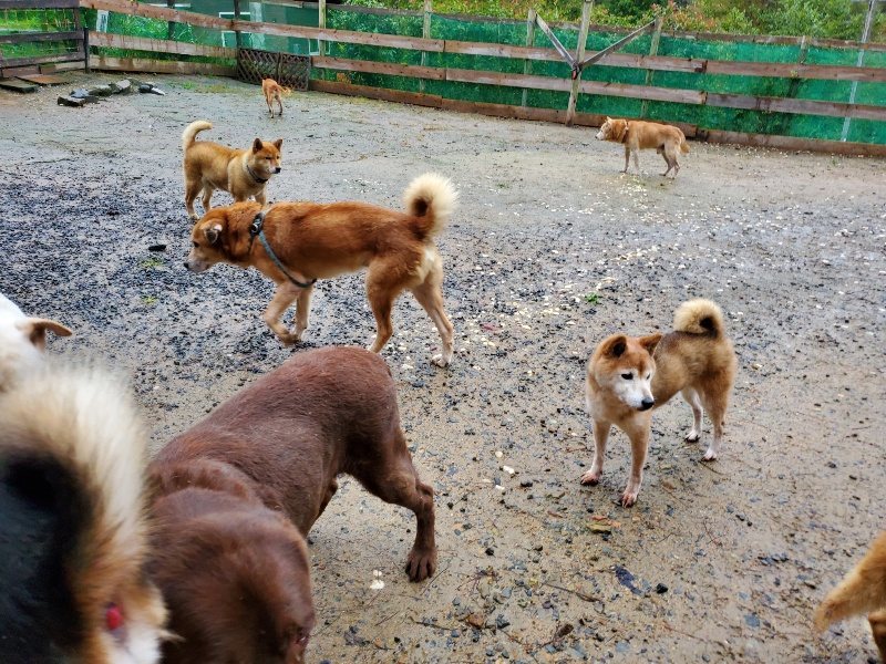 f:id:roukenhome-ann:20191019220321j:plain