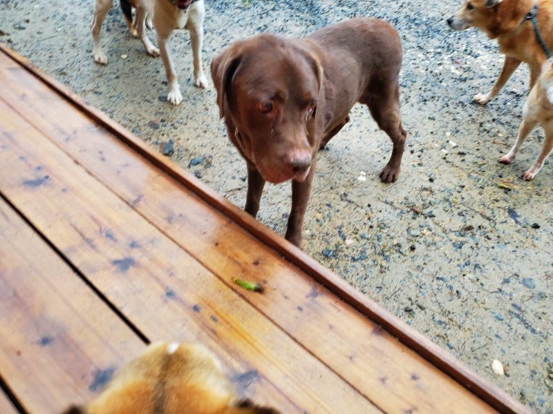 f:id:roukenhome-ann:20191019220353j:plain