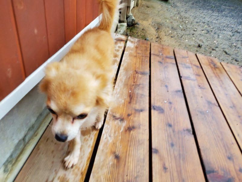 f:id:roukenhome-ann:20191019220407j:plain