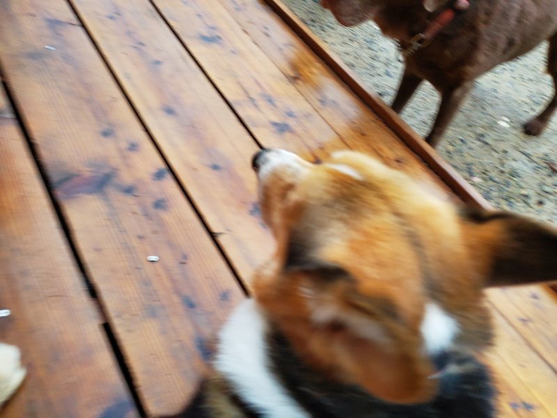 f:id:roukenhome-ann:20191019220412j:plain