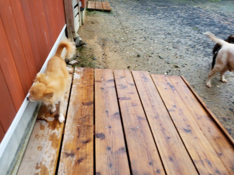 f:id:roukenhome-ann:20191019220427j:plain
