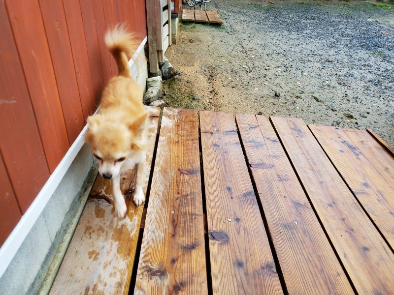 f:id:roukenhome-ann:20191019220435j:plain
