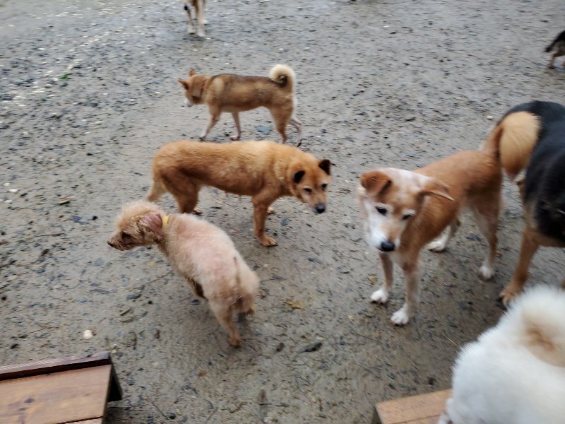 f:id:roukenhome-ann:20191019220517j:plain