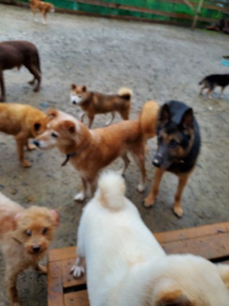 f:id:roukenhome-ann:20191019220613j:plain