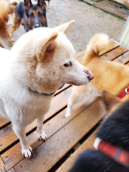 f:id:roukenhome-ann:20191019220617j:plain