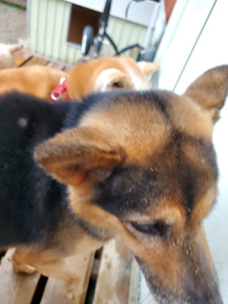 f:id:roukenhome-ann:20191019220640j:plain