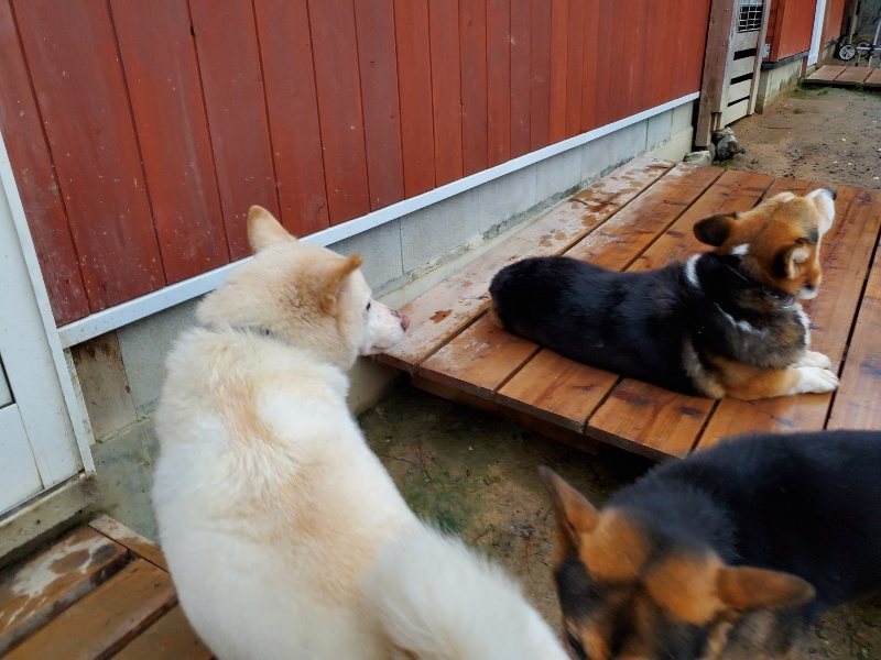 f:id:roukenhome-ann:20191019221018j:plain