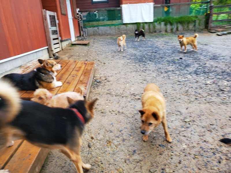 f:id:roukenhome-ann:20191019221157j:plain
