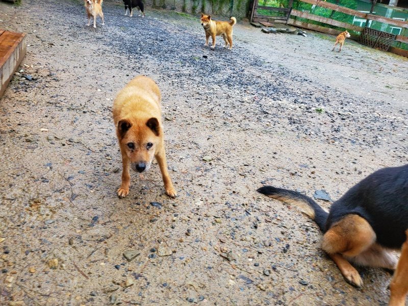 f:id:roukenhome-ann:20191019221203j:plain