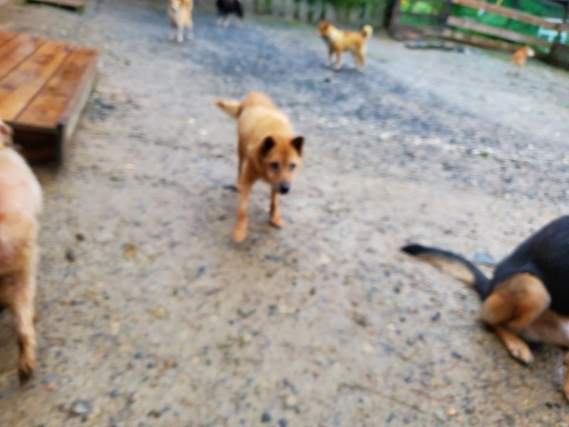f:id:roukenhome-ann:20191019221217j:plain