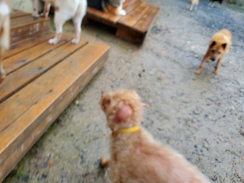 f:id:roukenhome-ann:20191019221223j:plain