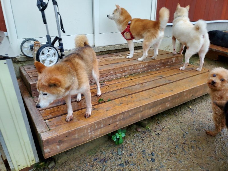 f:id:roukenhome-ann:20191019221259j:plain