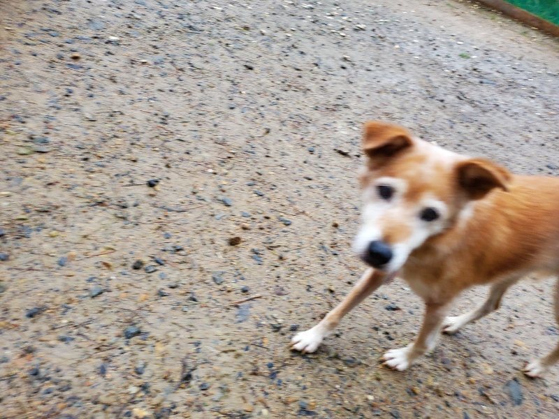 f:id:roukenhome-ann:20191019221347j:plain