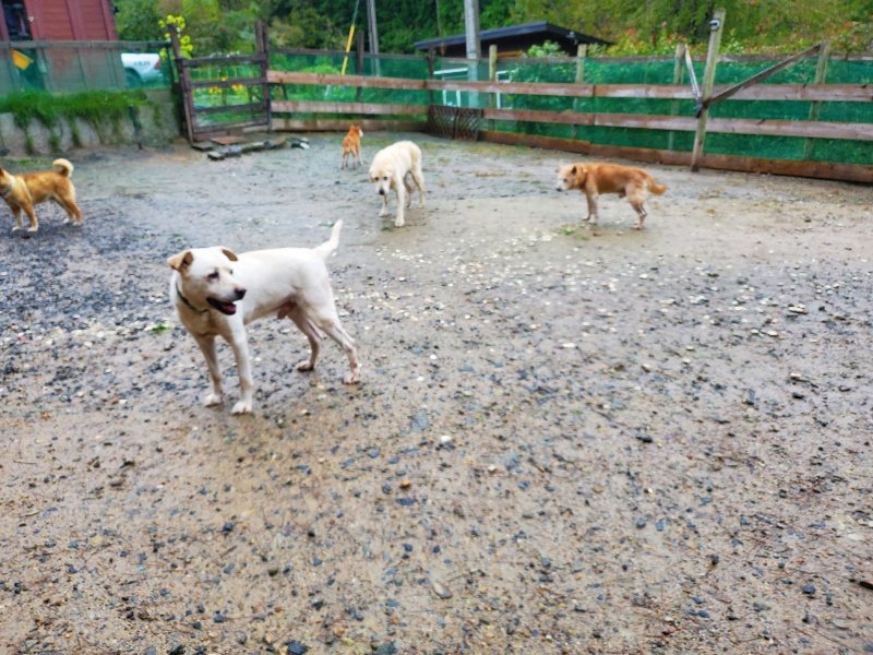 f:id:roukenhome-ann:20191019221357j:plain
