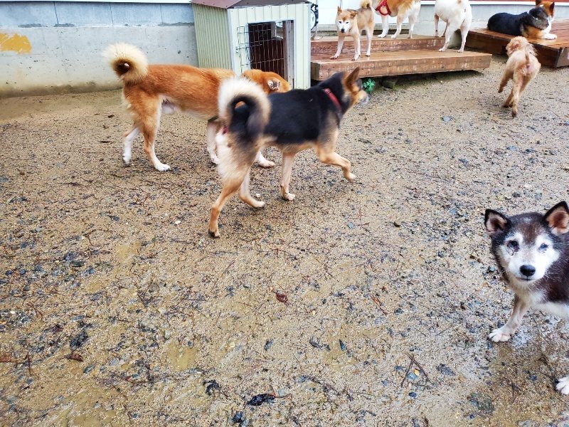 f:id:roukenhome-ann:20191019221519j:plain