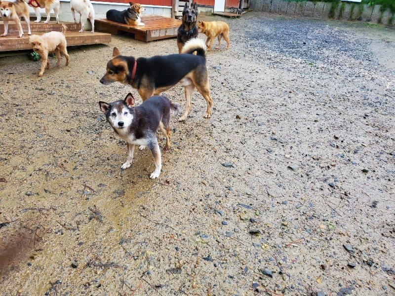 f:id:roukenhome-ann:20191019221534j:plain