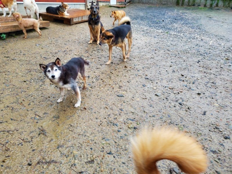 f:id:roukenhome-ann:20191019221556j:plain