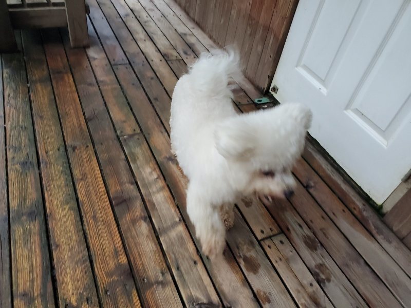 f:id:roukenhome-ann:20191019222248j:plain