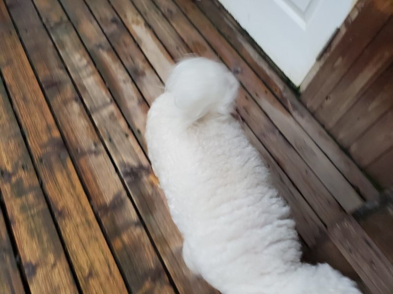 f:id:roukenhome-ann:20191019222302j:plain