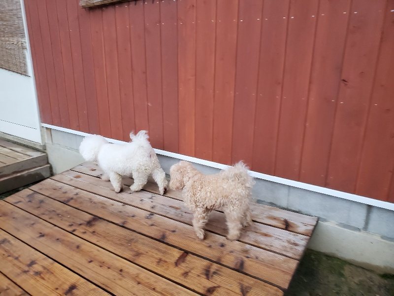 f:id:roukenhome-ann:20191019222333j:plain