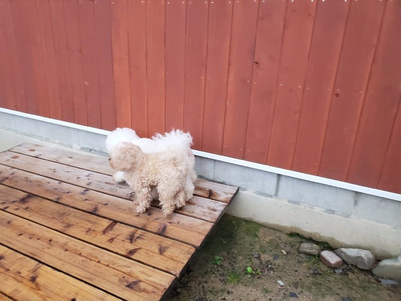 f:id:roukenhome-ann:20191019222341j:plain