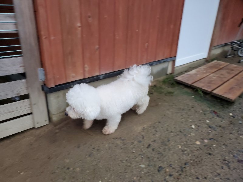 f:id:roukenhome-ann:20191019222400j:plain