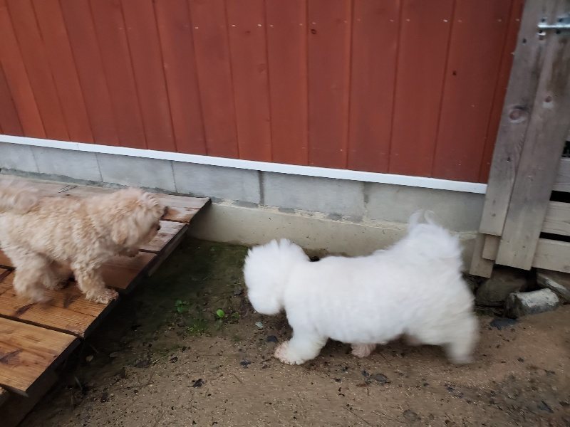 f:id:roukenhome-ann:20191019222407j:plain