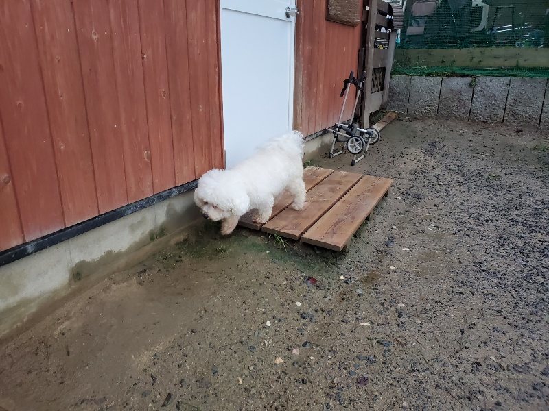 f:id:roukenhome-ann:20191019222416j:plain