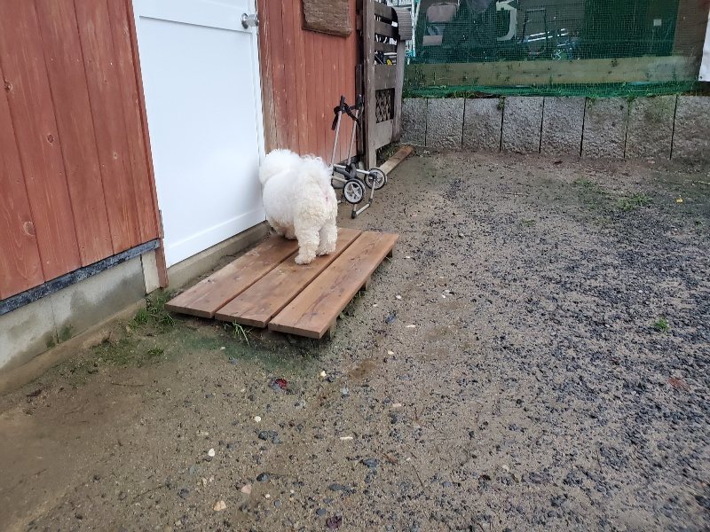 f:id:roukenhome-ann:20191019222432j:plain