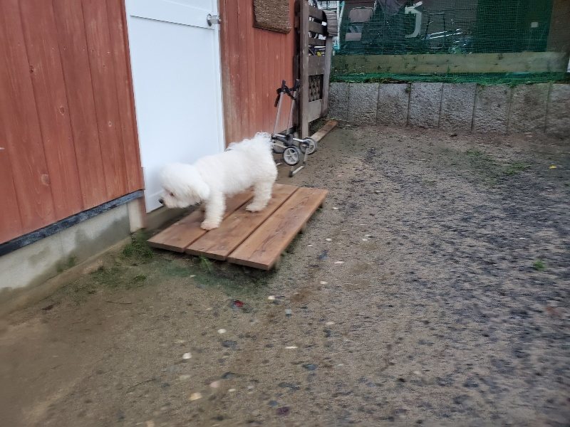 f:id:roukenhome-ann:20191019222448j:plain