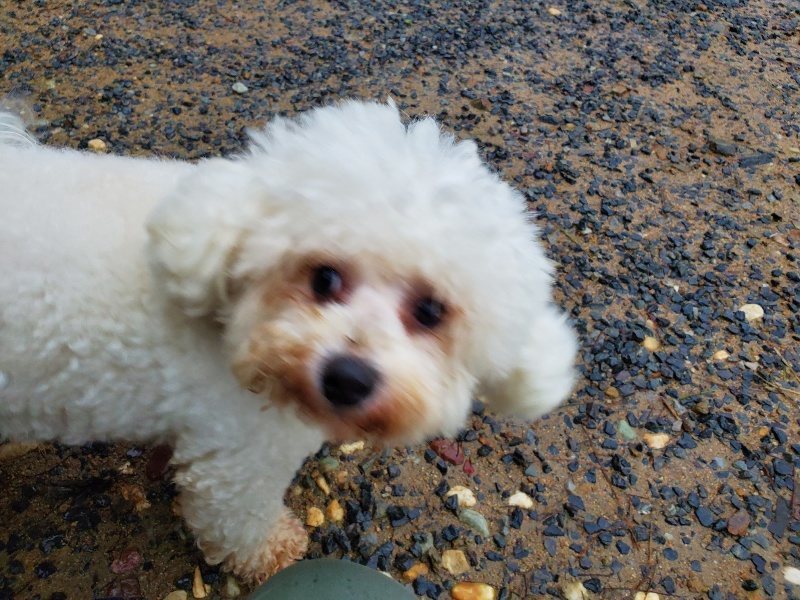 f:id:roukenhome-ann:20191019222501j:plain