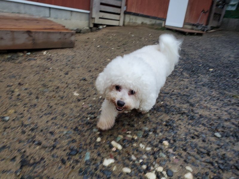 f:id:roukenhome-ann:20191019222536j:plain