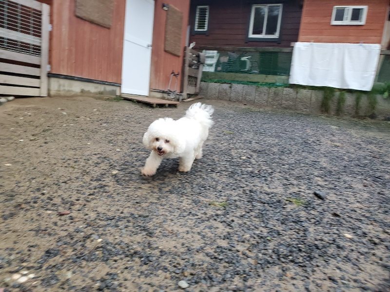f:id:roukenhome-ann:20191019222552j:plain