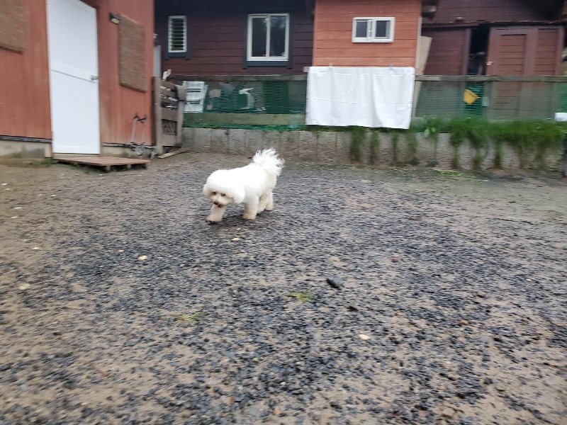 f:id:roukenhome-ann:20191019222608j:plain