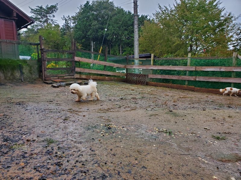 f:id:roukenhome-ann:20191019222620j:plain
