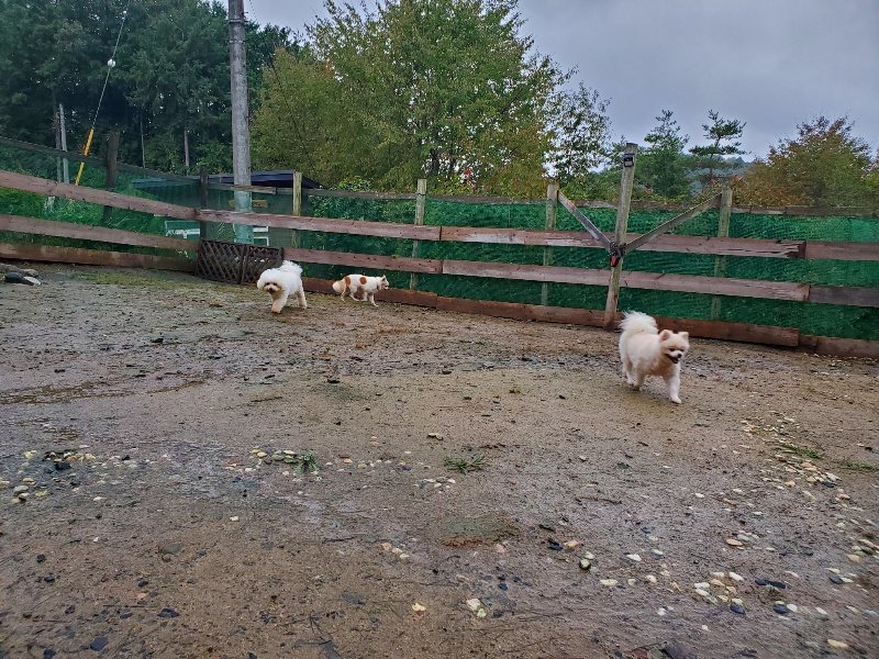 f:id:roukenhome-ann:20191019222641j:plain