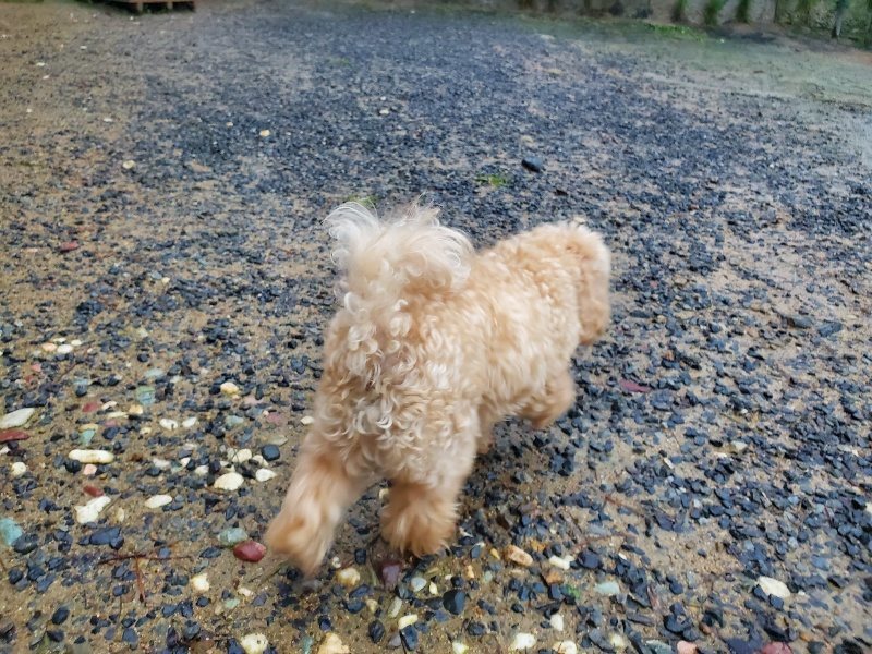 f:id:roukenhome-ann:20191019222718j:plain