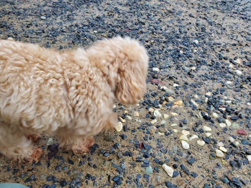 f:id:roukenhome-ann:20191019222730j:plain
